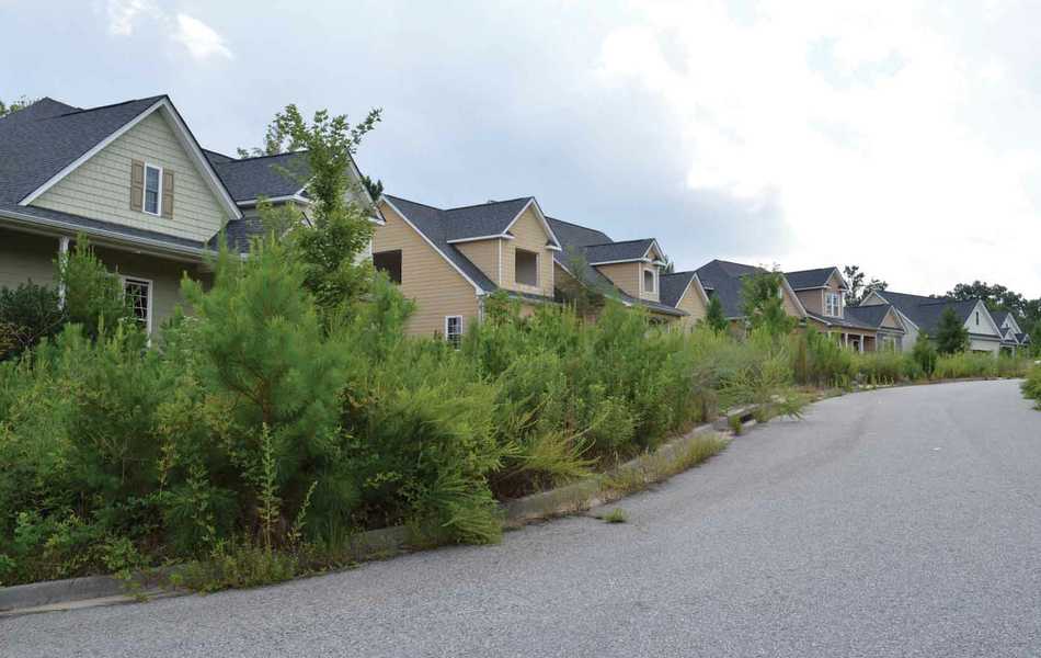 636147376403693776132825447_greenleaf