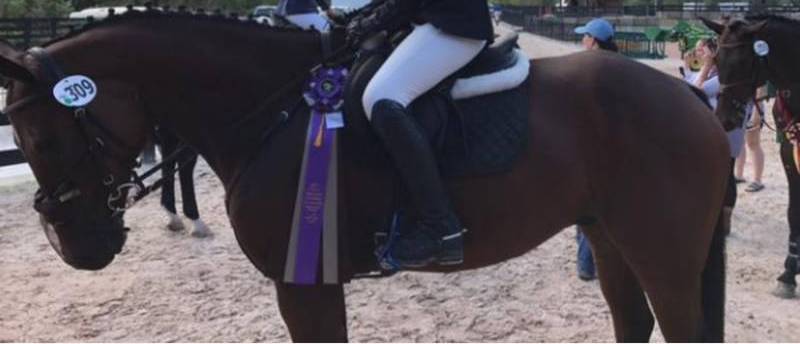 screenshot_2017-09-22_at_22039_pm-1506104461-1680